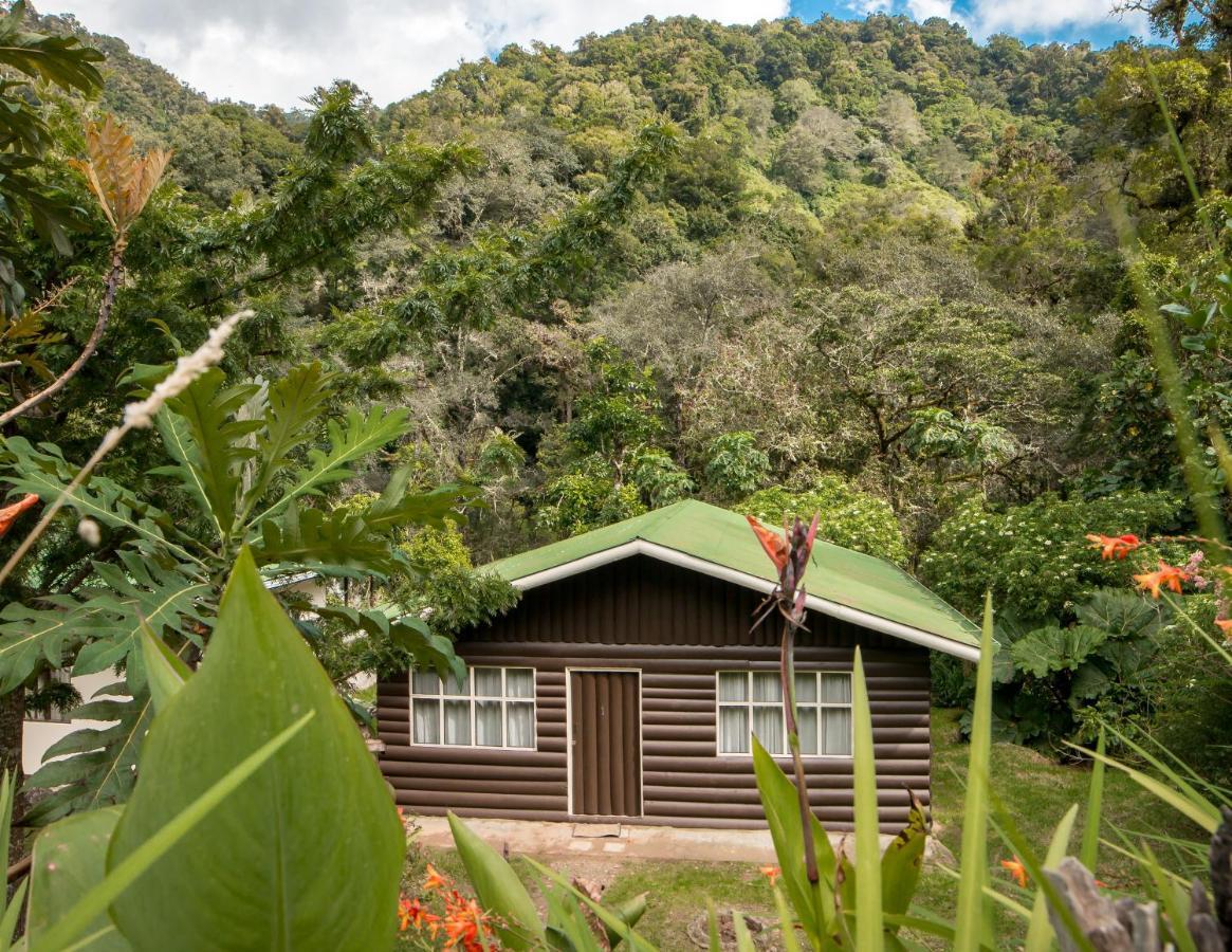 Cabinas El Quetzal San Gerardo de Dota Exteriér fotografie