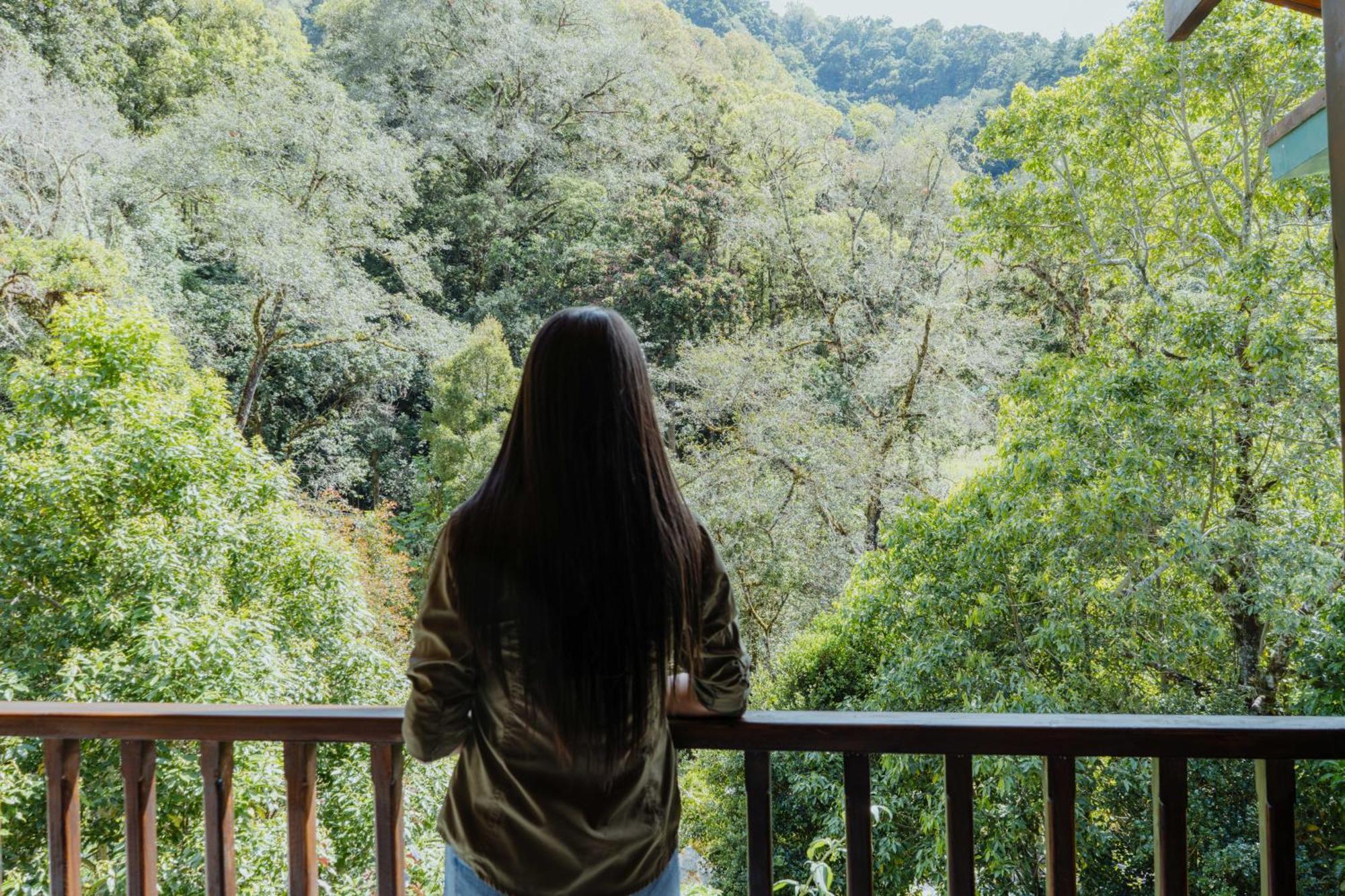 Cabinas El Quetzal San Gerardo de Dota Exteriér fotografie