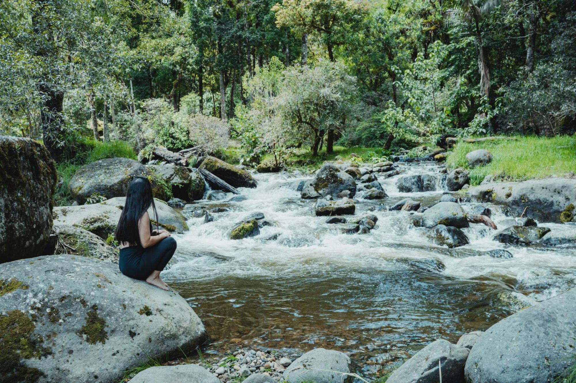 Cabinas El Quetzal San Gerardo de Dota Exteriér fotografie