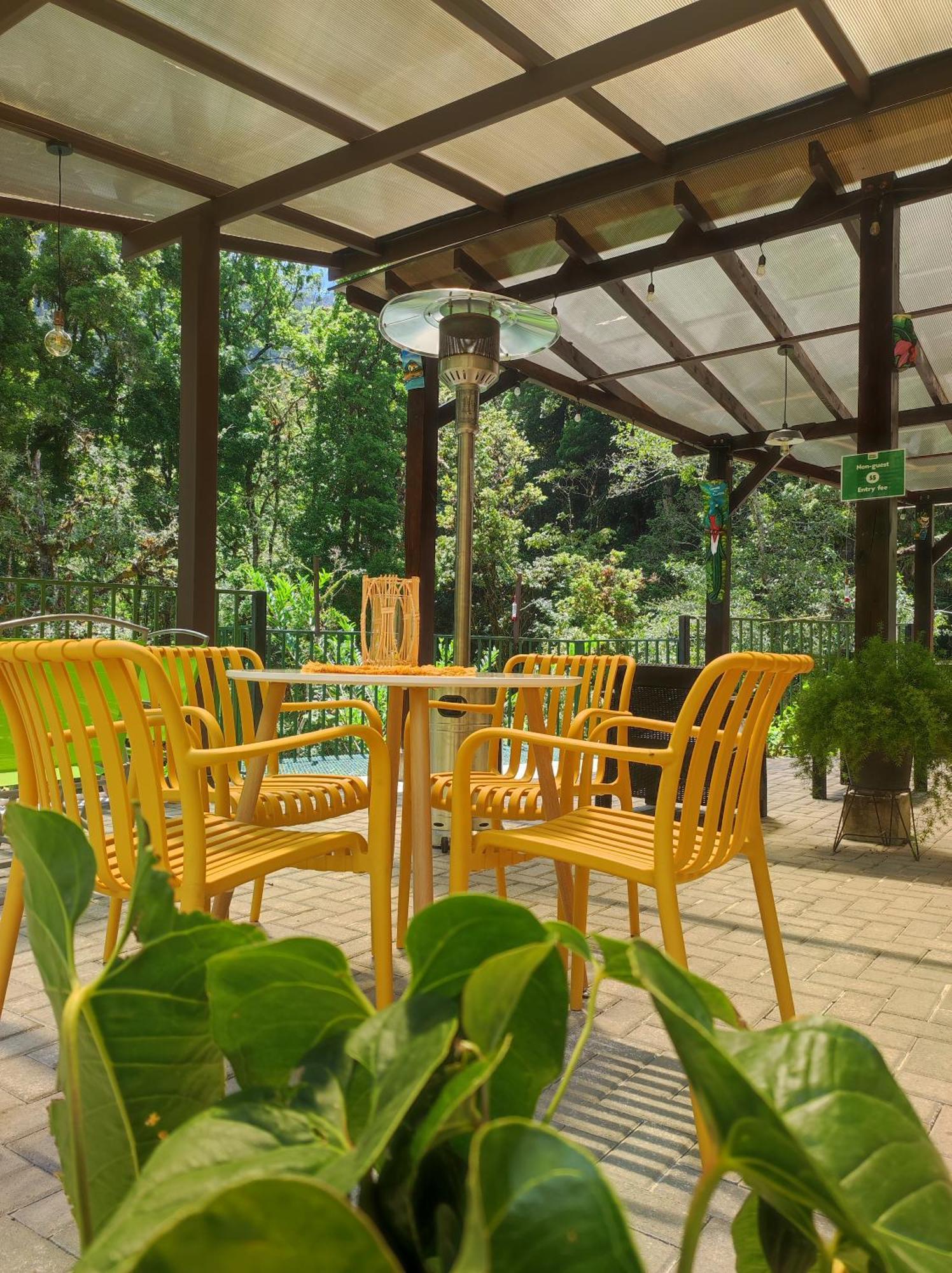 Cabinas El Quetzal San Gerardo de Dota Exteriér fotografie